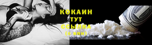 COCAINE Гусь-Хрустальный