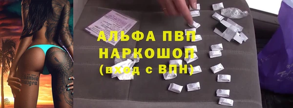 PSILOCYBIN Новодвинск