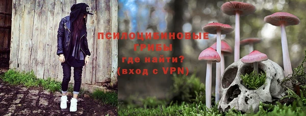крисы Новокубанск