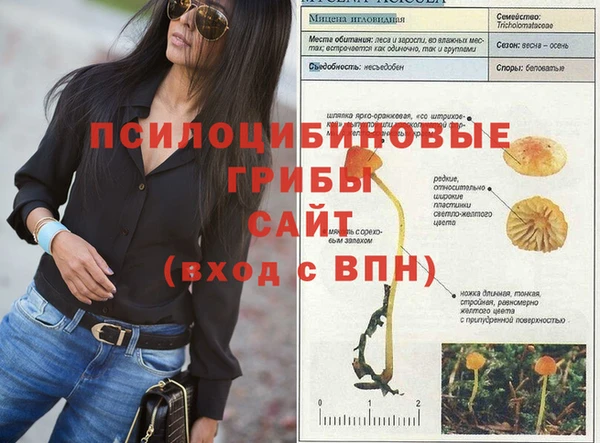 кристаллы Няндома