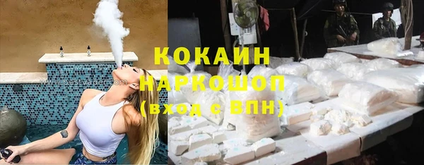 крисы Новокубанск
